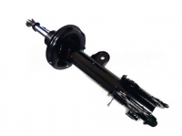 image of a Front Shock absorber 10039824 10039824