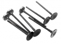 image of a Exhaust valves 1003013GG010 1003013GG010