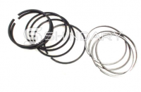 image of a Piston ring 1004030FA130 1004030FA130 to brand JAC model SUNRAY