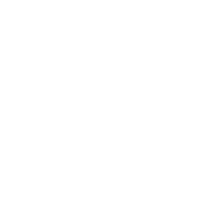 Car brand logo Maxus